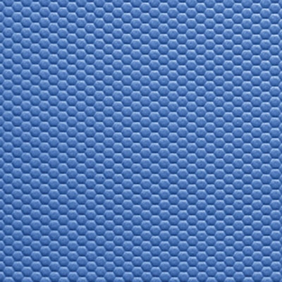 FitZone Mats Pro Blue
