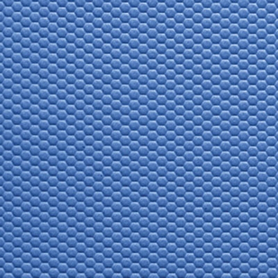 FitZone Mats Pro Blue