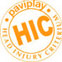 paviplay-safety-hic-head-injury-criterium